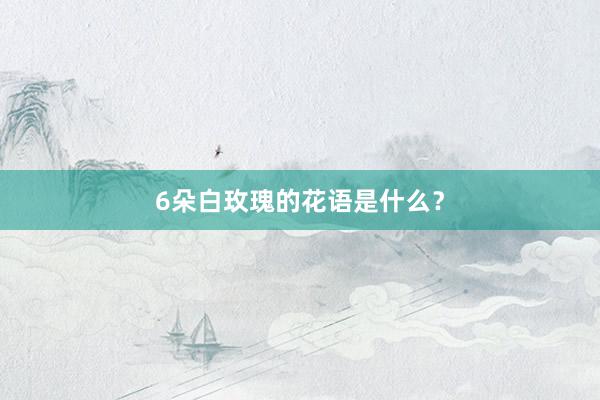 6朵白玫瑰的花语是什么？